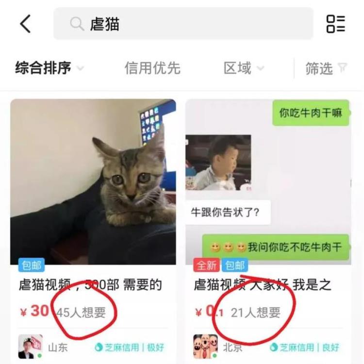 为什么虐猫不犯法,虐猫事件我们应该怎么劝说