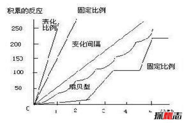 契可尼效应怎么破除?契可尼效应如何影响我们