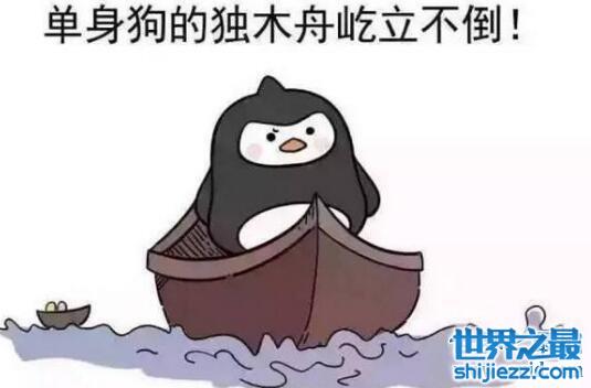 单身狗图片表情包盘点，别看了就你还是单身狗