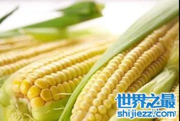 提高记忆力的食物常见款，你妈妈都喊你吃过吗？