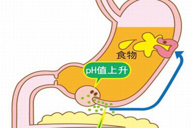 密集恐惧症会死人吗?密集恐惧症的治疗方法有哪些