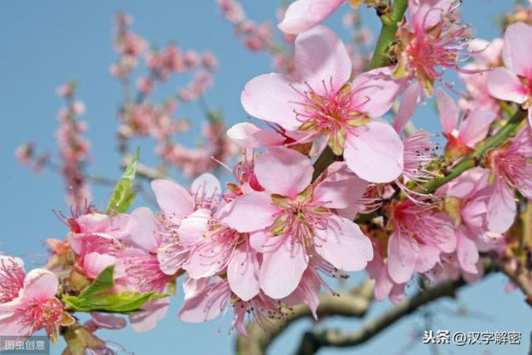 《桃花源记》诡异事件,桃花源记的诡异细节