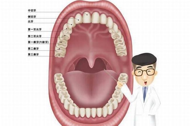 脸上为什么会长青春痘?皮脂分泌多堵塞毛孔(青少年多发)