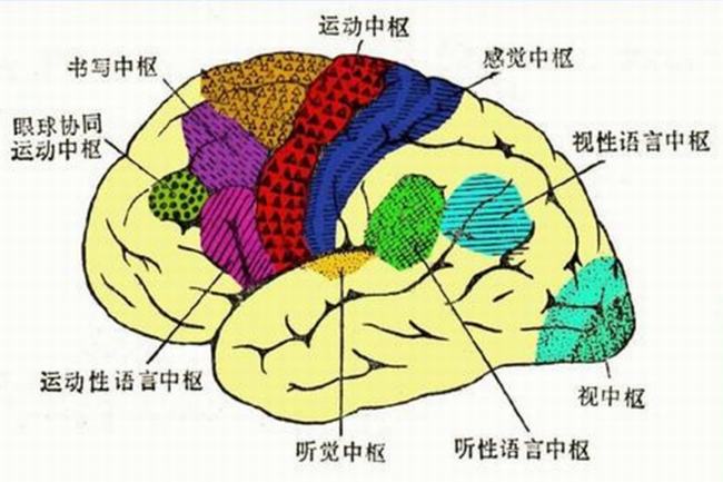 为什么打野战要穿迷彩服?混入周围环境(迷惑敌人)