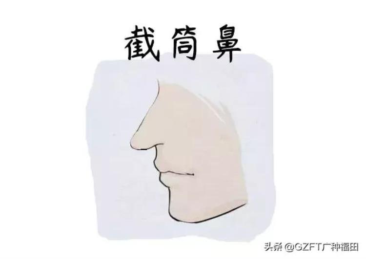 鼻子大富贵命,鼻相看个人运势