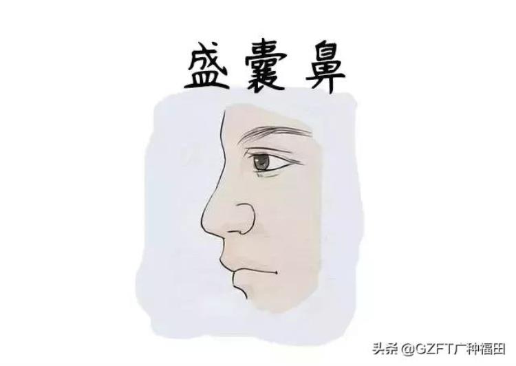 鼻子大富贵命,鼻相看个人运势