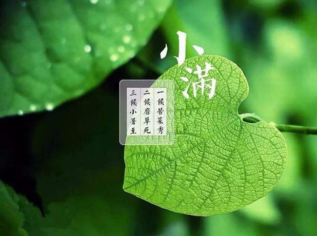 谷雨的下一个节气是什么?夏季第一个节气(立夏)