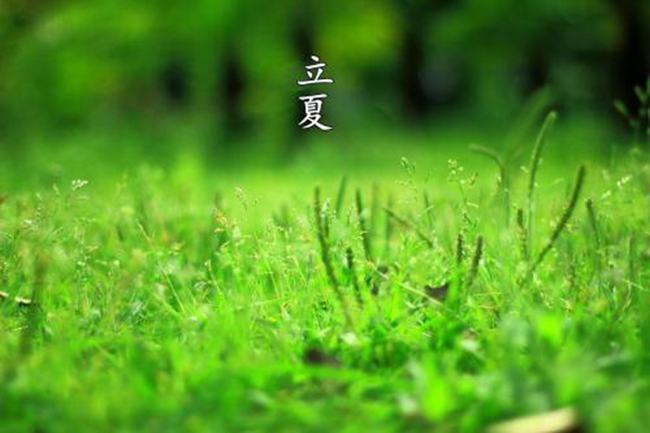 谷雨的下一个节气是什么?夏季第一个节气(立夏)