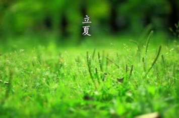 谷雨的下一个节气是什么?夏季第一个节气(立夏)