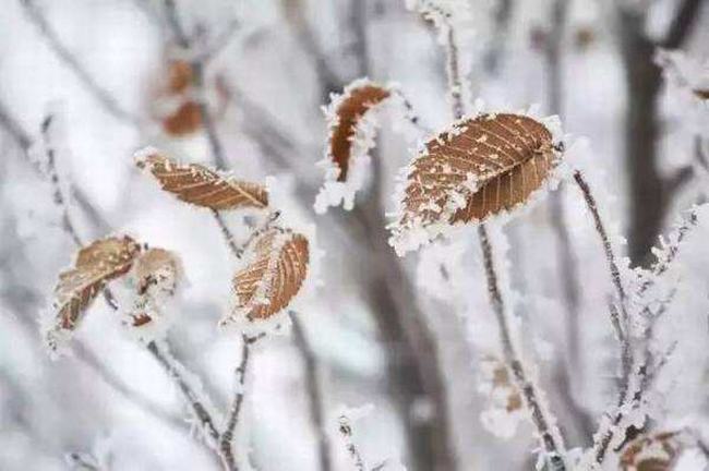 霜降的下一个节气是什么?怎样更好度过立冬（早睡晚起）