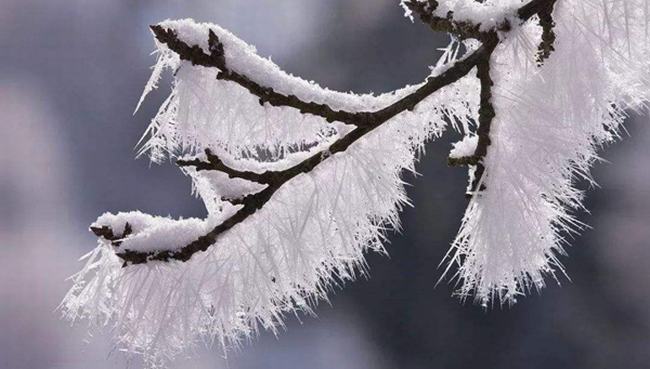 霜降的下一个节气是什么?怎样更好度过立冬（早睡晚起）