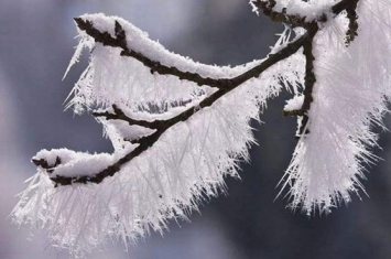 霜降的下一个节气是什么?怎样更好度过立冬（早睡晚起）