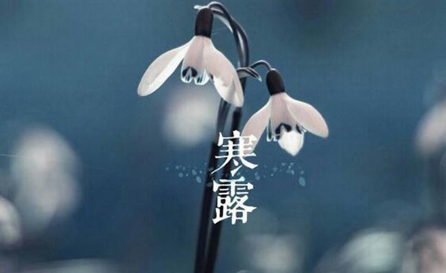 寒露是什么意思?寒露时节如何养生（保持温暖避免受寒）