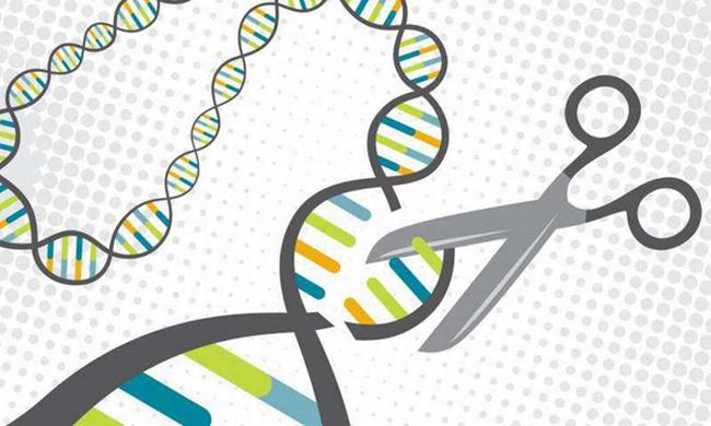 艾滋病治愈最新消息2019：基因编辑清除HIV成功