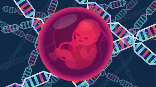 艾滋病治愈最新消息2019：基因编辑清除HIV成功