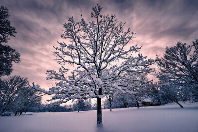 大雪是什么意思?大雪时节如何养生（防寒保暖）