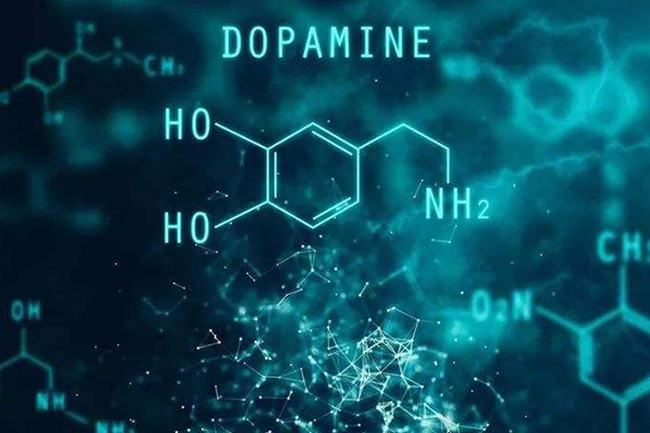 脉冲星有多可怕?体积小能量大输出一千万太阳能量