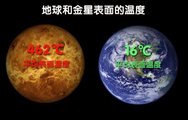 屎放大一亿倍和屎放大1000万倍，2000倍发生不少微生物