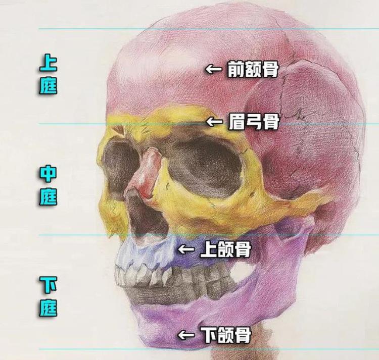 小河公主四千年前的美女有多美丽,小河公主