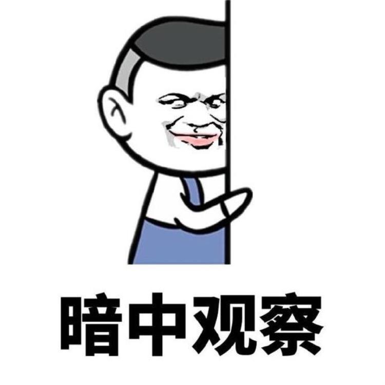 畸形双头蛇,双头蛇的奇闻异事