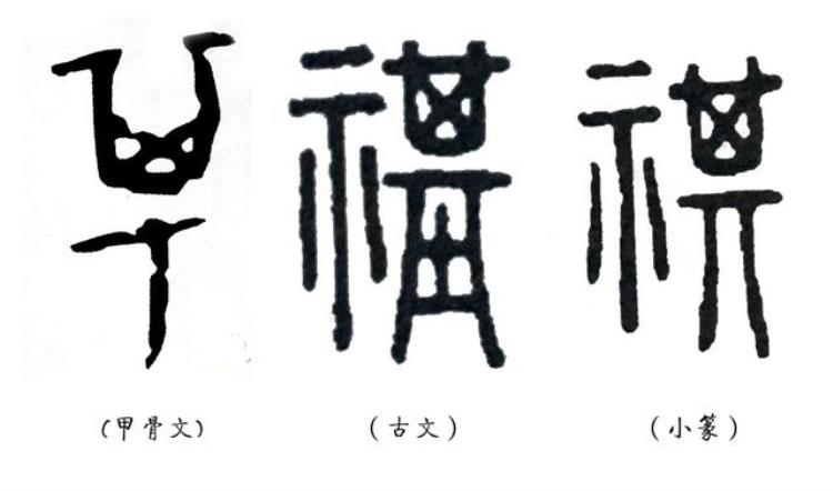 说文解字第一节解读「说文解字现代解读」