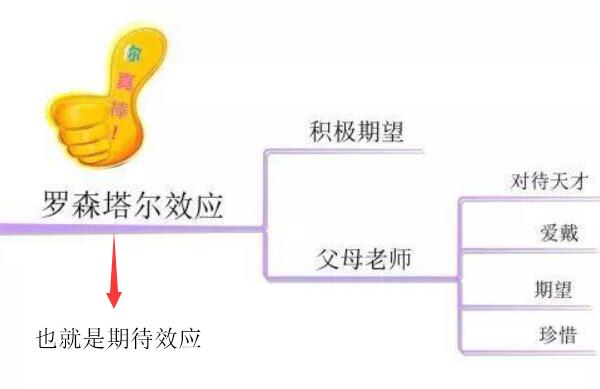 期待效应是什么，有较高期望的一方影响另一方（适用老师和学生）