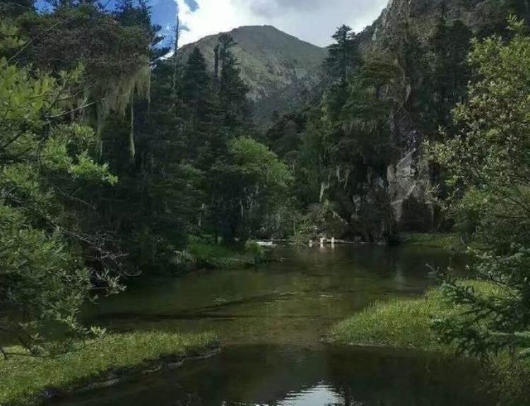 四川猎塔湖水怪之谜1,猎塔湖水怪未解之谜