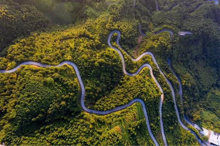 弯弯曲曲的小路怎么画儿童画,儿童画路两边的风景