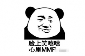 MMP导弹,攻击距离300公里的陆军战术导弹