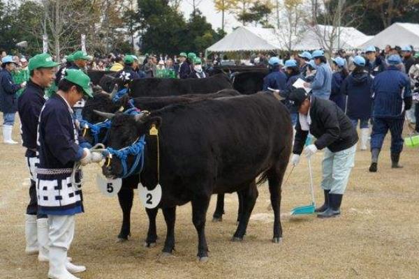 世界上最贵的鱼子酱:一勺价值4万美金(混合22k金粉)