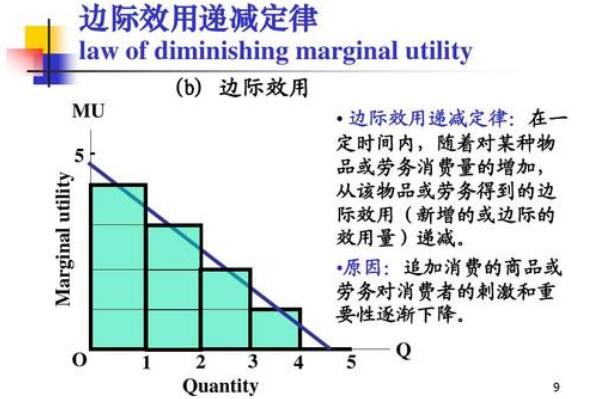 丽莎·蓝道尔的五纬度实验，五维空间很小（灵魂不存在）