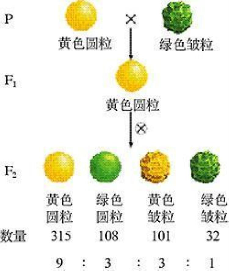 物种起源发表了160年进化论都发生了什么改变,物种起源与演化