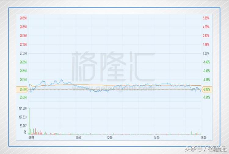 网龙777HK一张网还是一条龙