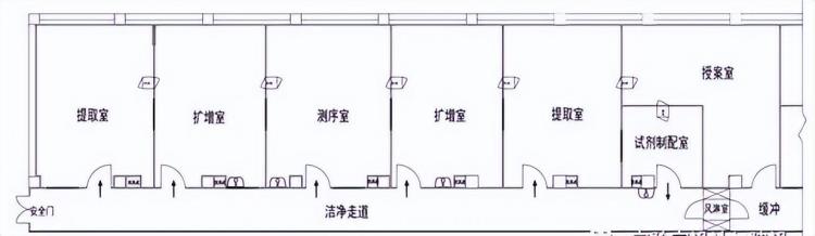 基因检测实验室设计,dna实验室建设