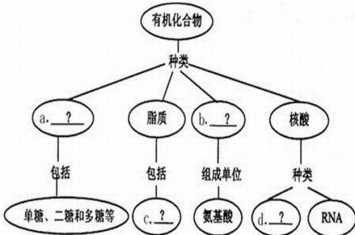 有机无机之间有区别吗？有机无机具体区别在哪里