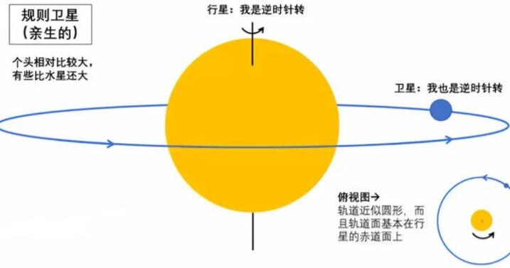 被仓鼠咬了会死吗?假如被仓鼠咬了怎么办