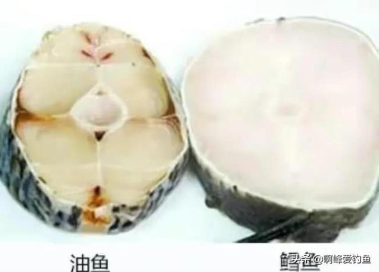 油鱼吃了真的漏油?,深海鱿鱼有酸味