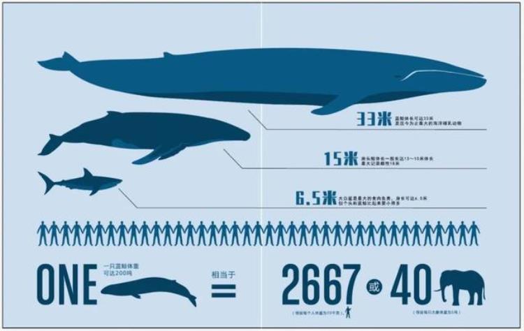 地球上现存最大生物「地球上至今还活着的最大生物是什么无法遏制它仍在不断狂长」