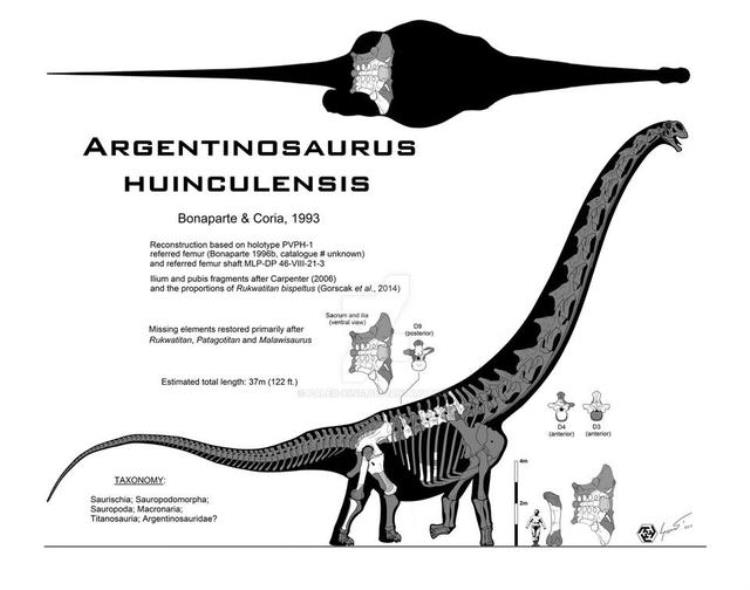 地球上现存最大生物「地球上至今还活着的最大生物是什么无法遏制它仍在不断狂长」