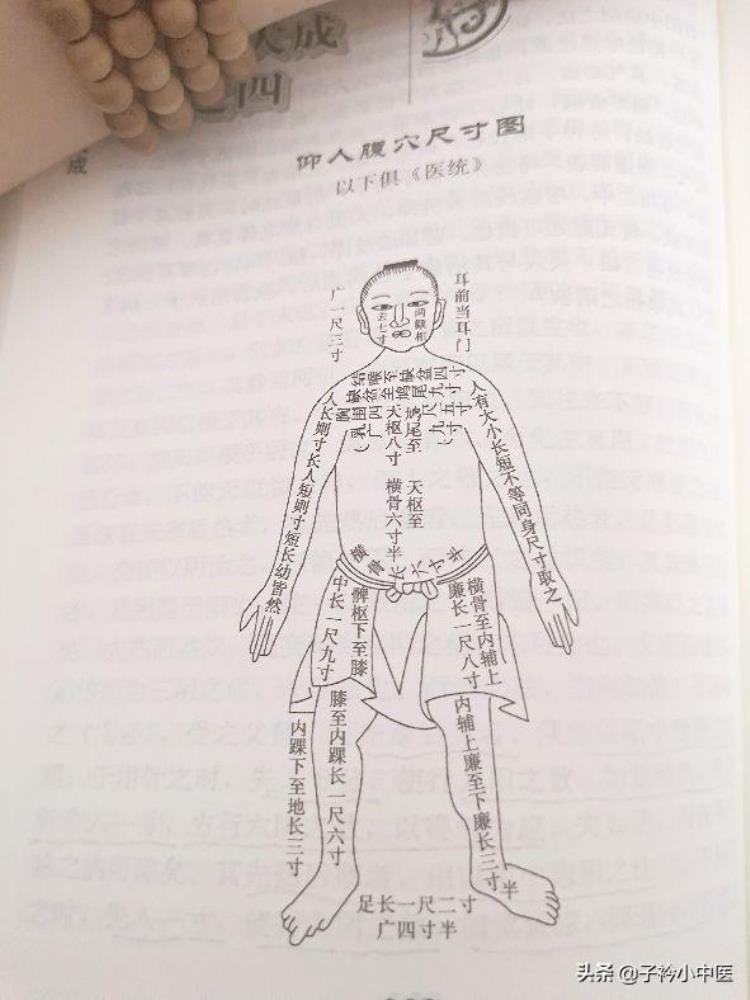 找不准穴位先搞清楚一寸到底有多长吧