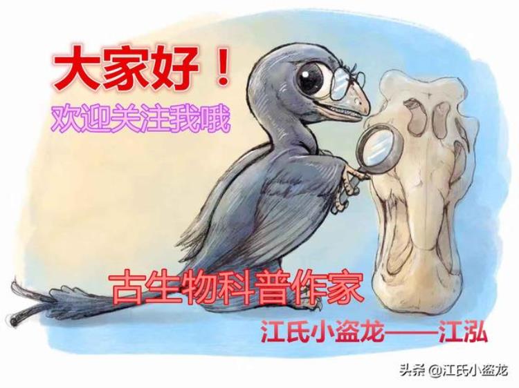 古生物学家发布棘龙潜水的又一证据是什么,现在海底有棘背龙吗