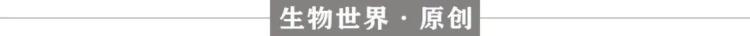 为什么红头发的人不怕疼,人为啥会长红头发