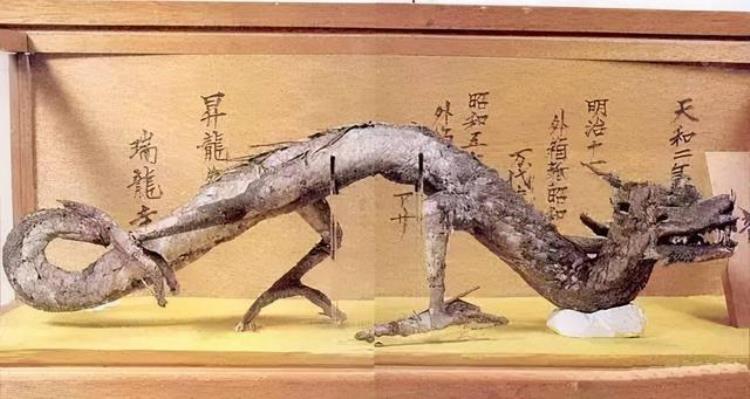 秘鲁发现真龙遗骸尖牙利齿身长17米3600万年前海里的龙王