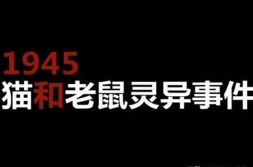 1945年到底发生了什么讲讲那一年猫和老鼠的灵异事件,1945年奇异事件