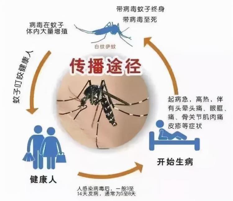 艾滋病和新冠病毒哪个可怕,世界十大病毒新冠