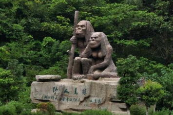 神农架野人新闻,中国神农架野人事件