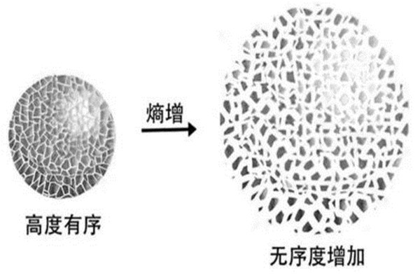 企鹅送到北极会死吗 北极上是否存在过企鹅