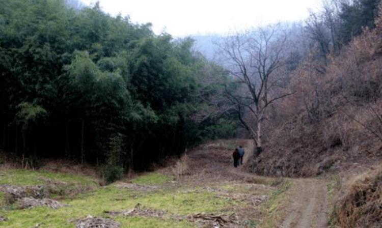 2015年河北山村出现诡异生物村民上山围剿失败隔天发疯跳楼