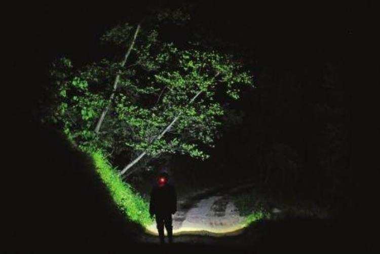 2015年河北山村出现诡异生物村民上山围剿失败隔天发疯跳楼