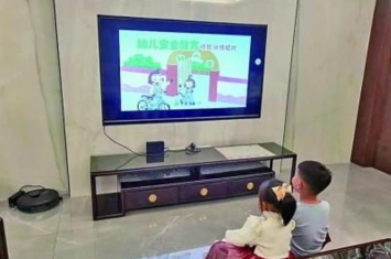 幼儿网课有必要吗,幼儿园学网课好吗